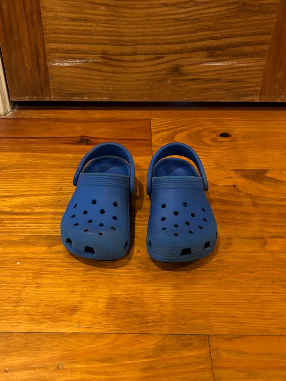 Royal Blue Crocs (Toddler Size 8)